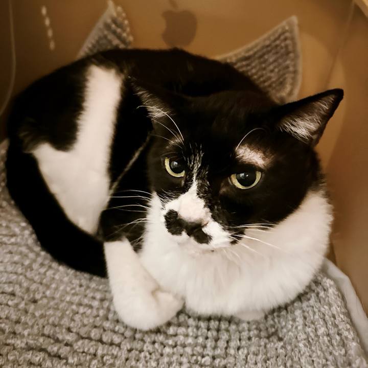 Ac30c2b8 79dc 4d23 b737 3e53c45d0a62 1719839269968