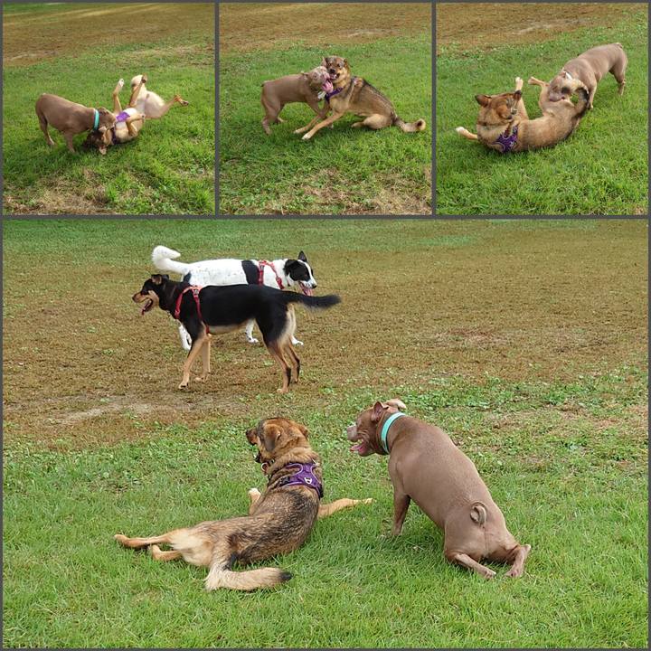 Ac30d1ee 0ca9 4403 a89a c793393e6e79 1729299812059