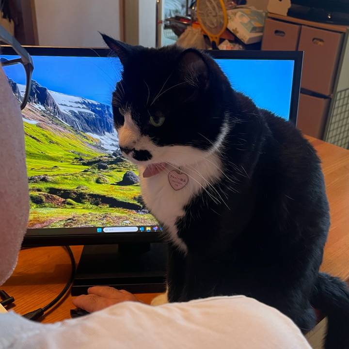 Ac30e973 038b 4dc8 9d9a 8bdc15a6b0c6 1754186132274