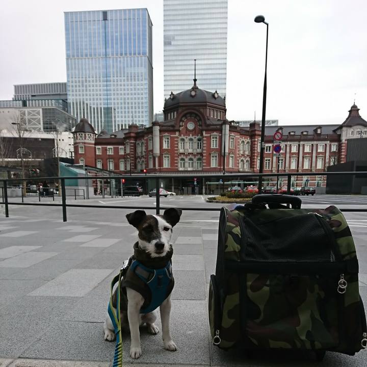 Ac30eb36 b3d5 4cdc a249 57bf2ed25a64 1517120162167