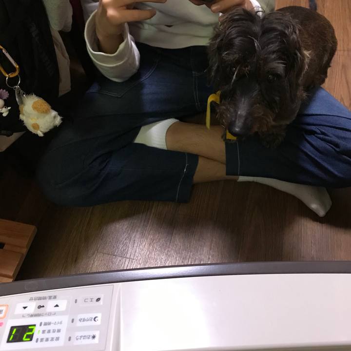 Ac313595 d216 4a60 b136 5f6a3241e472 1543240704659