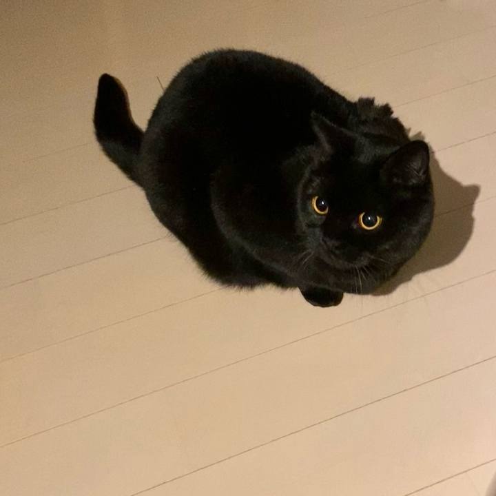 Ac3153bb e1b6 4939 8cc4 099bce5d41d9 1615721070289