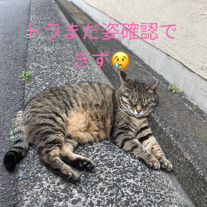 Ac315922 2da8 4e27 974a 6d0df391bf36 1655860698231