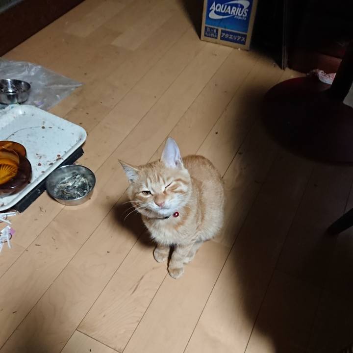 Ac315f7e 687f 4c8c ba21 eb036d48a353 1635021337443