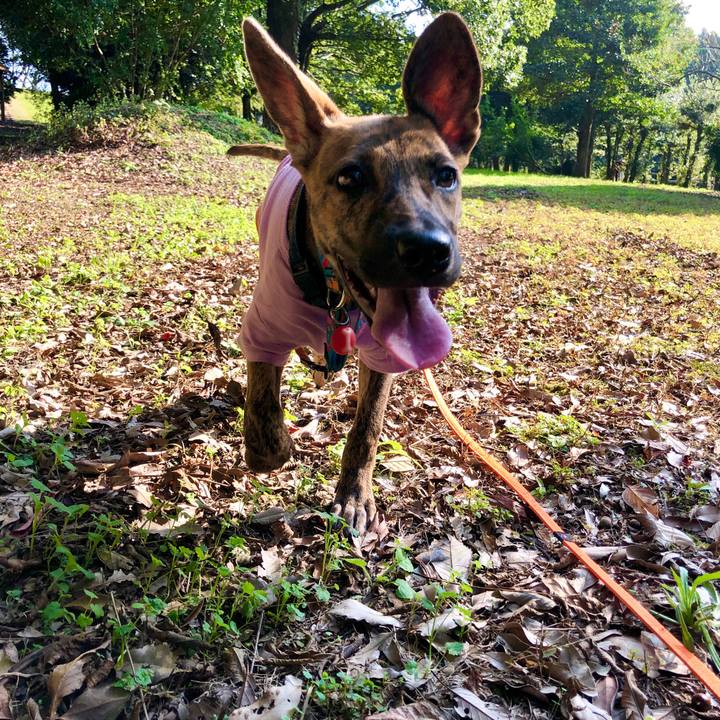 Ac3171fb b8fe 48f9 8bee ccef99ed39cb 1571914523086