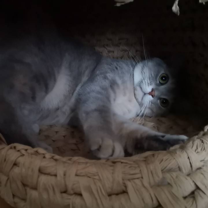 Ac31ade3 0dc9 49c5 8c6a 1e264bf291fa 1566269111422