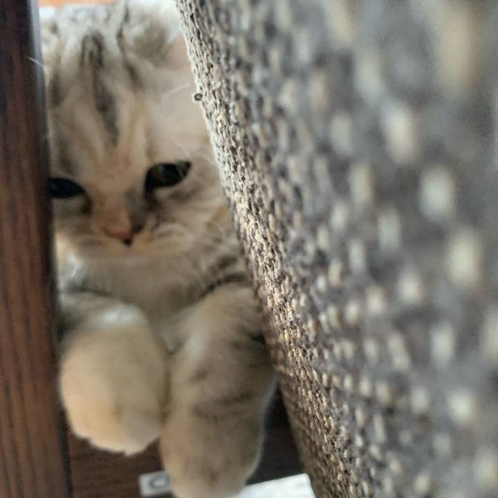 Ac31c203 be71 4036 827e b490a577507b 1706322027519