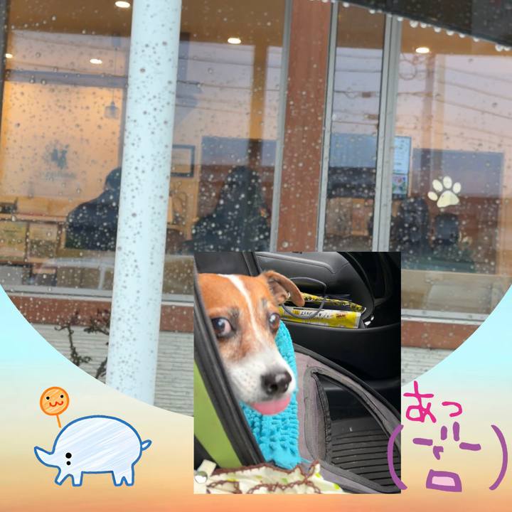 Ac320bbb 1129 4857 9455 5a7b05f25c71 1775030766726