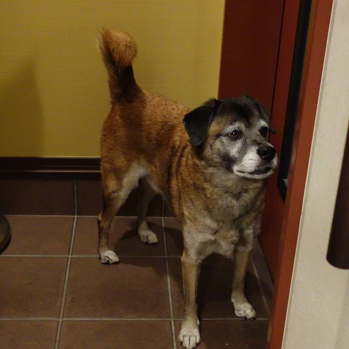 Ac322e79 6cad 42a1 8db7 0d8fec7f9461 1652314989224