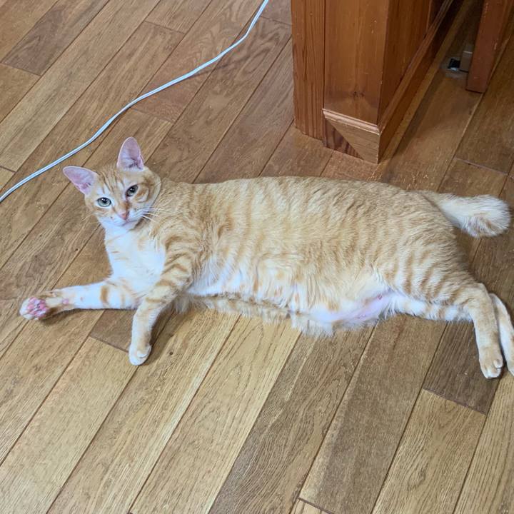 Ac3232cb 94c5 46f4 9649 5466eec29d76 1568203223961