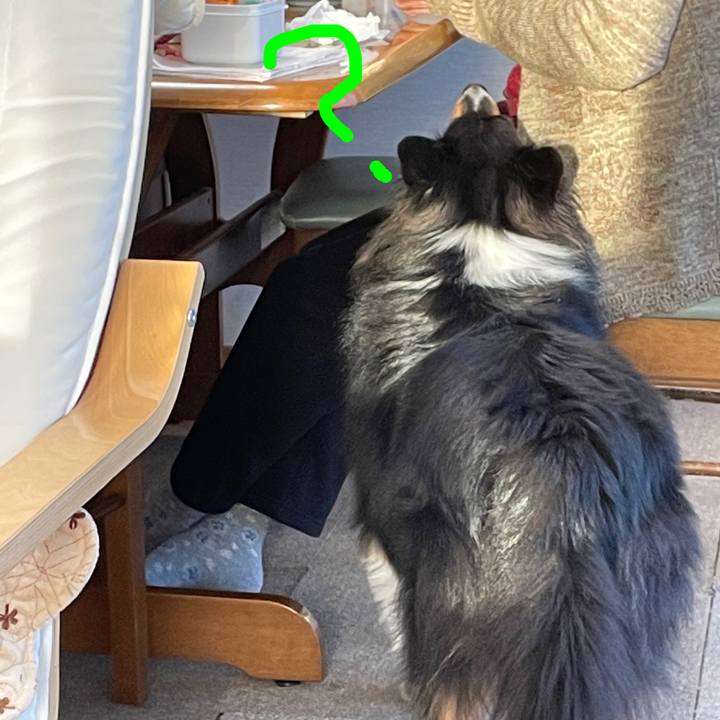 Ac323b26 f35c 4753 9303 1a94c78a1d7a 1610145752644