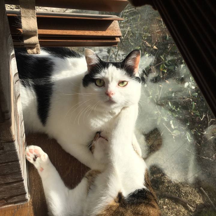 Ac325c45 8a33 4edd 9a36 fd8a949cbba2 1582546806758