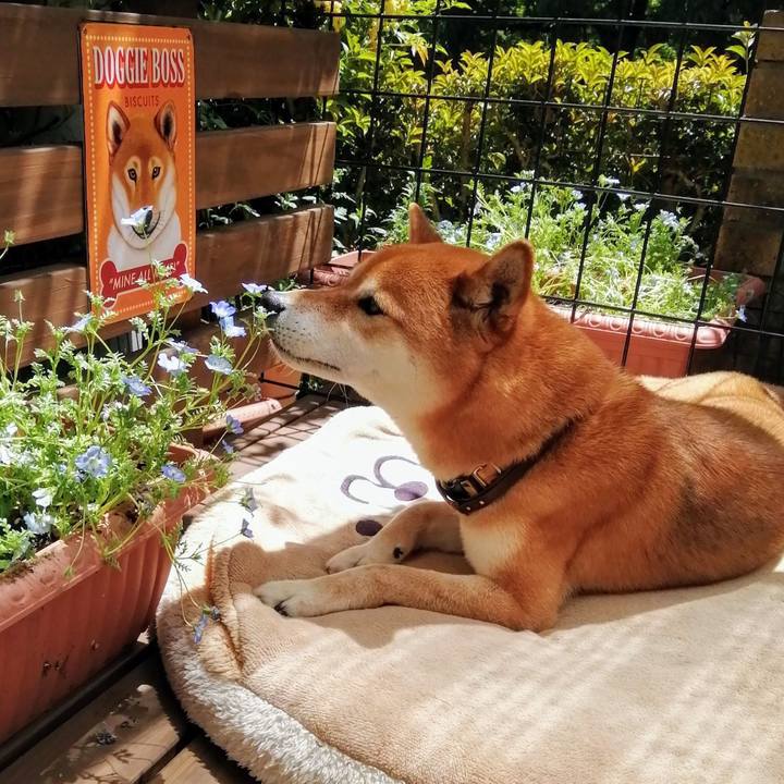 Ac327091 ab43 4382 aa6a 316e5d51bfd8 1619406904029