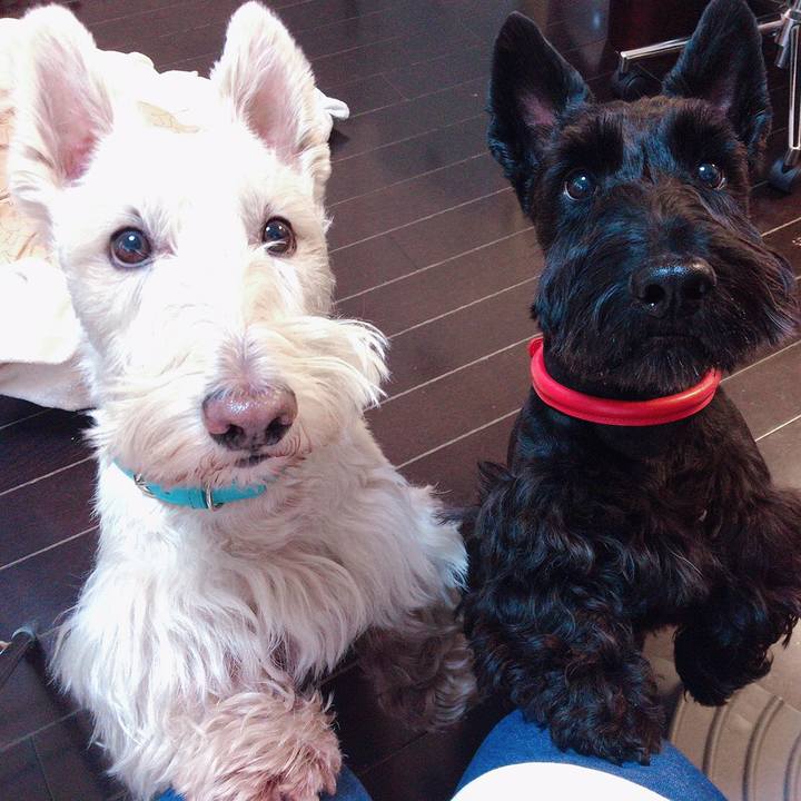 Ac3274ef a453 4de7 99ba 1bcf63341a53 1551230524430