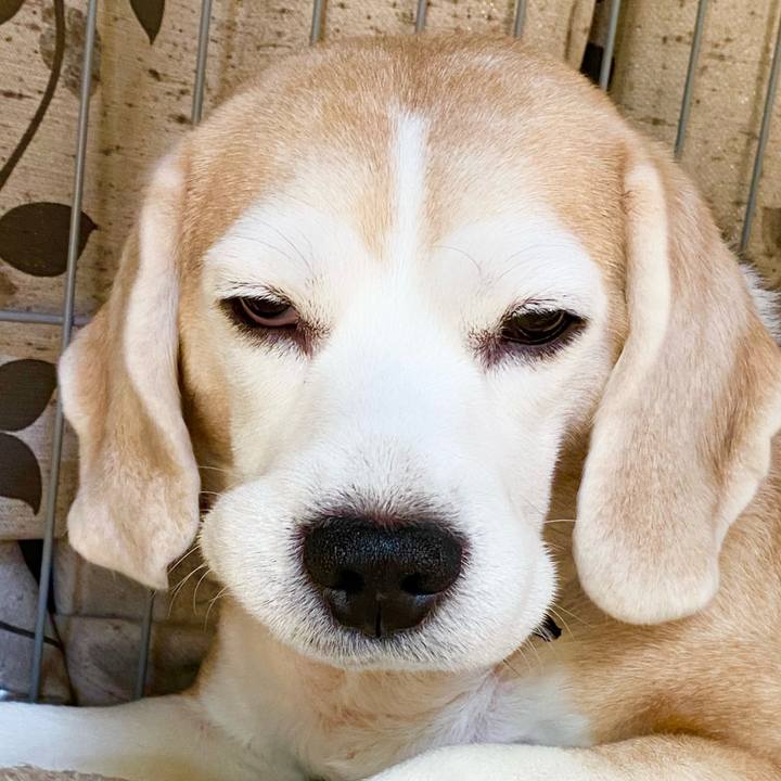 Ac327cc0 4191 4650 b980 57ed80012b97 1612237401147