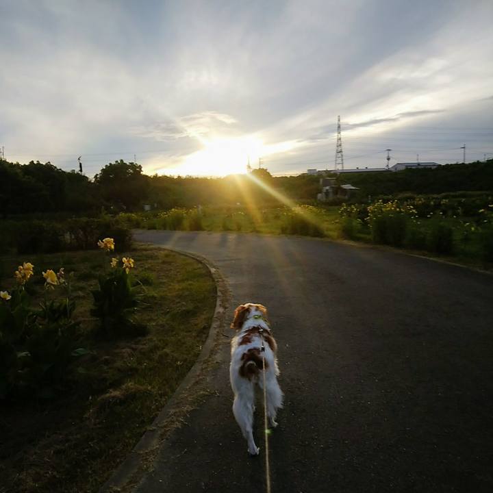 Ac328c92 f953 49e4 828b 20a1f581fa60 1565350291143