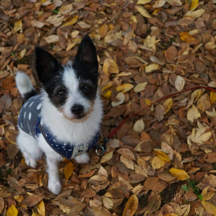 Ac3341c7 d491 468d a9dc 8617782c41c0 1604483880461