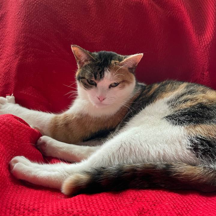 Ac334ebf 1378 4fe2 81a4 c171a69cc6ed 1616196049016