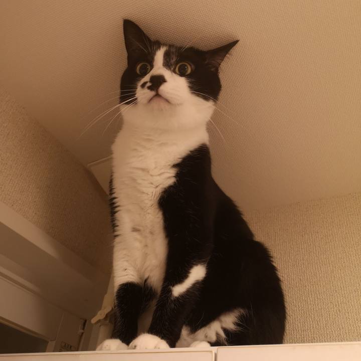 Ac336602 8270 4fc7 99fb af94c0fa4a6b 1561726365312