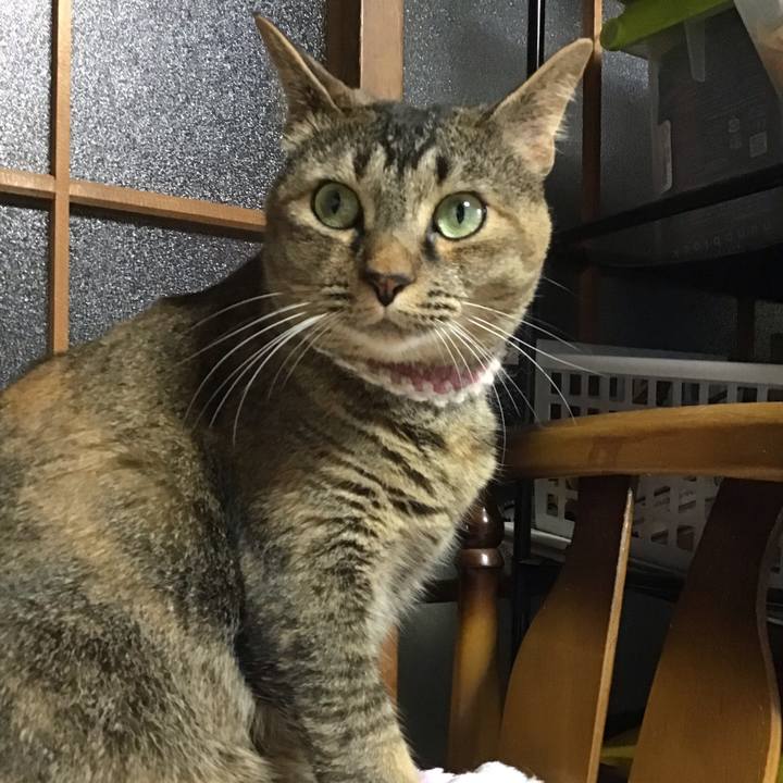 Ac338d2e 0fda 4af5 9e02 e2f6366de95a 1656758392411