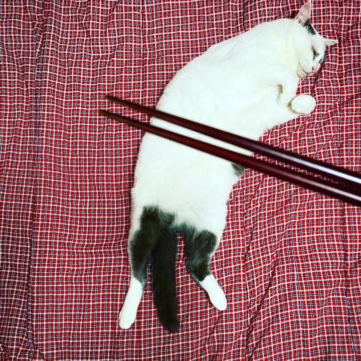 Ac339447 d3c8 48a1 a43c 135535684c33 1626614122584