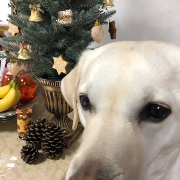 Ac33c541 8007 4075 8192 17acd38244ec 1577244012721