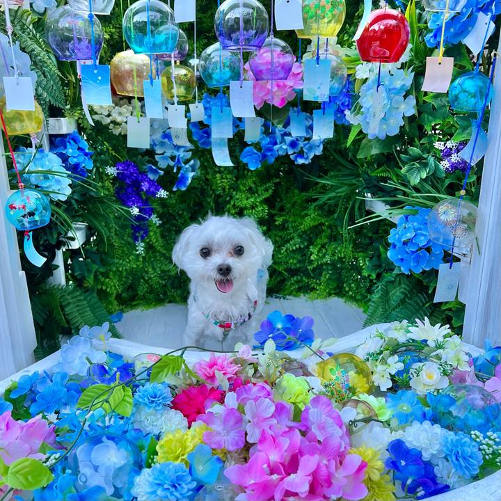 Ac33ed47 6dcf 4b3c 9f5e 327374e9d4e8 1658285115940