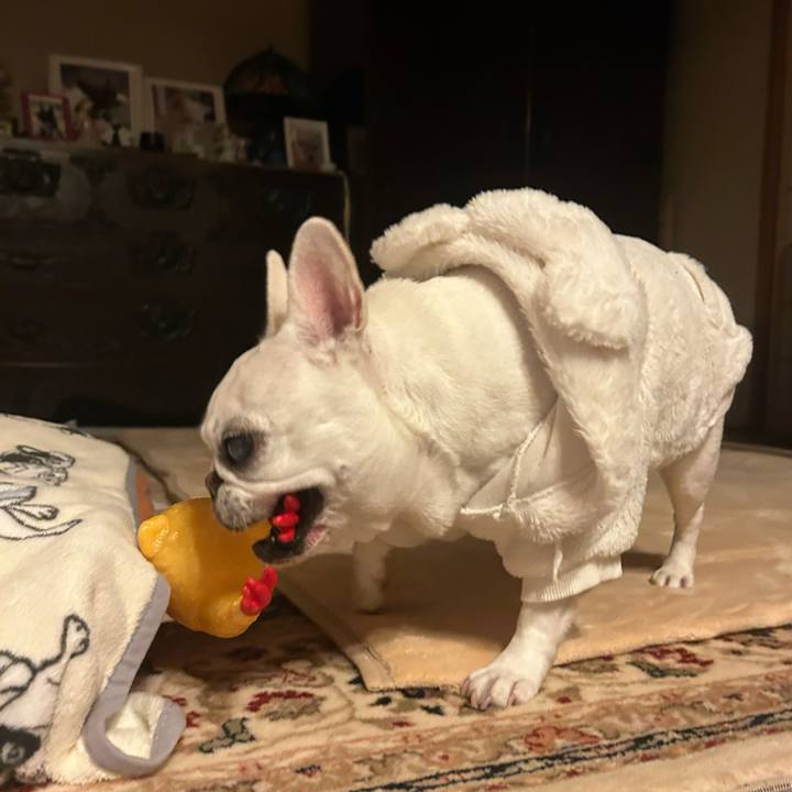 Ac342dbb d555 471f a876 0ce48a70c24b 1762595537416