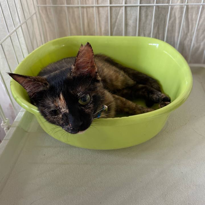 Ac3435bf 4de4 426d a343 84560bbab6d7 1718272382455