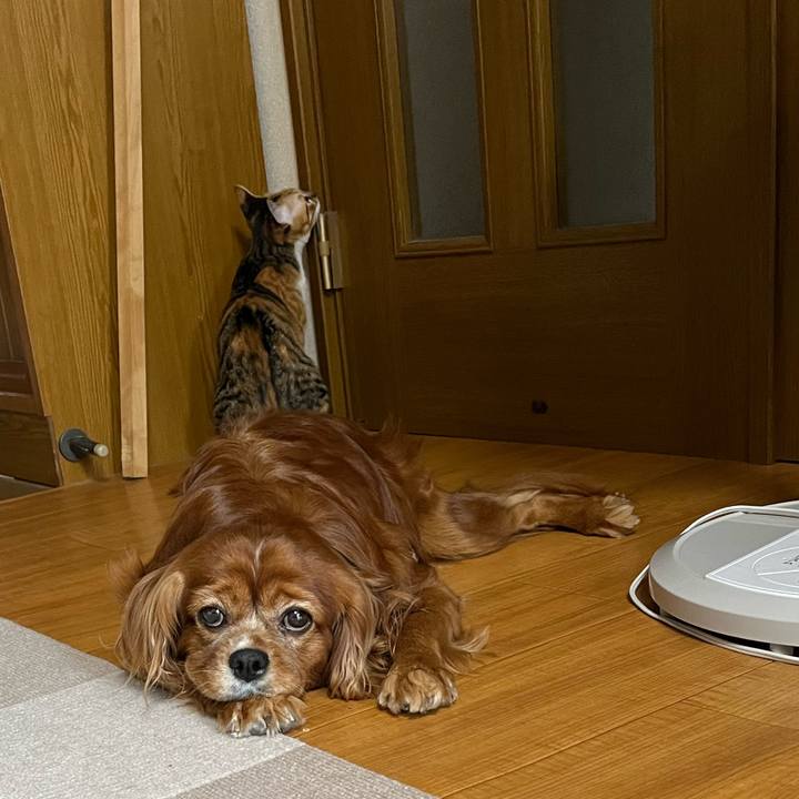 Ac346830 73a4 4ce3 b864 db023165f57b 1664231727767