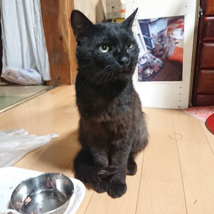 Ac346a3c dbea 4a65 a8ff ccc1cafcbb85 1624879869652