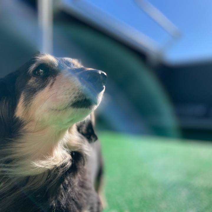 Ac347751 825d 4afa a745 7764aa5dfc6f 1701659204262