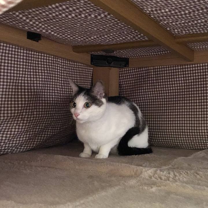 Ac348fc3 5728 45bc be13 ced1d4e7214e 1701147178463