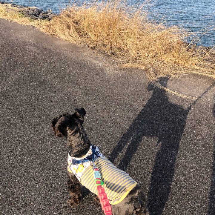 Ac3490df 9a73 409f 96f1 5d0e32031014 1608705991093