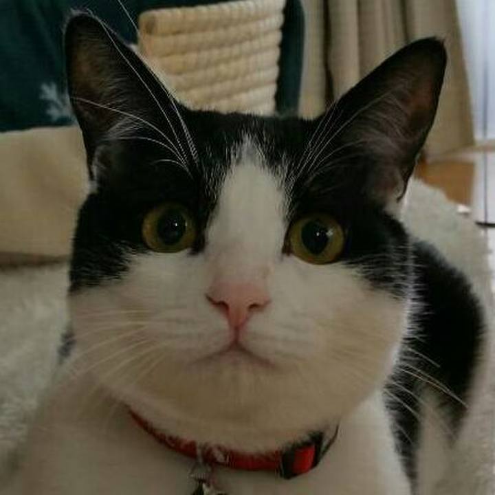 Ac34f711 f12f 425b 9e05 2486a50e2f2d 1528067185944