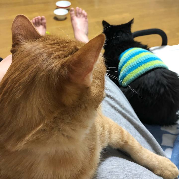 Ac353a53 726d 4f33 83a4 d7c696937729 1582894175552