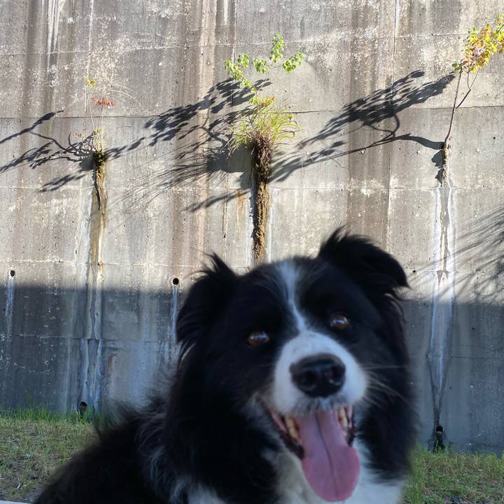 Ac35516a 4eaa 4b66 bff9 b81eac3d1617 1598743058716