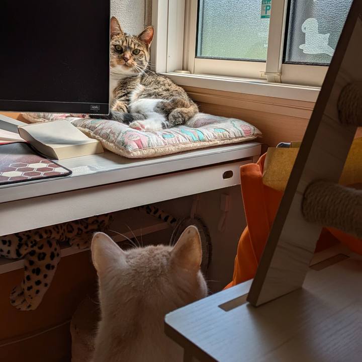 Ac3556d0 afd9 4348 b91f 97c99e58e82f 1720264939119