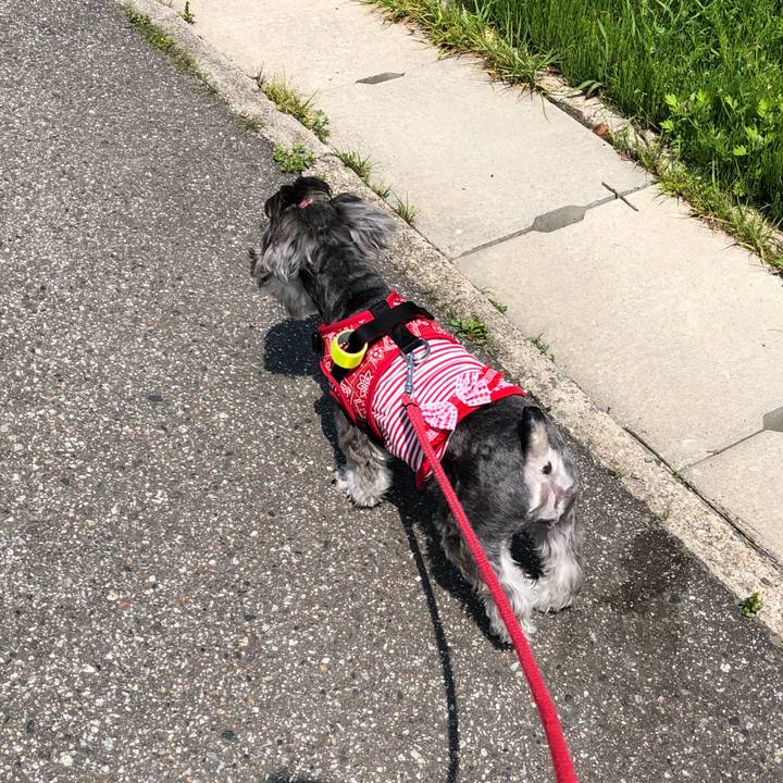 Ac35e736 939b 4504 b6a1 c42574a4f392 1524883386990