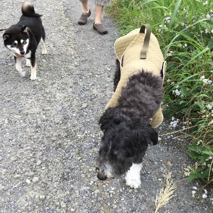 Ac3631e5 e04d 4a83 906e 31aea3024efa 1519896362143