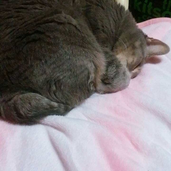 Ac364ca2 9200 469f 9142 4b4032b17722 1582555002502