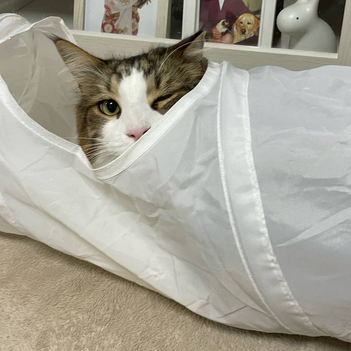 Ac365869 3fe4 4585 b416 55a9589b22dd 1713122753097