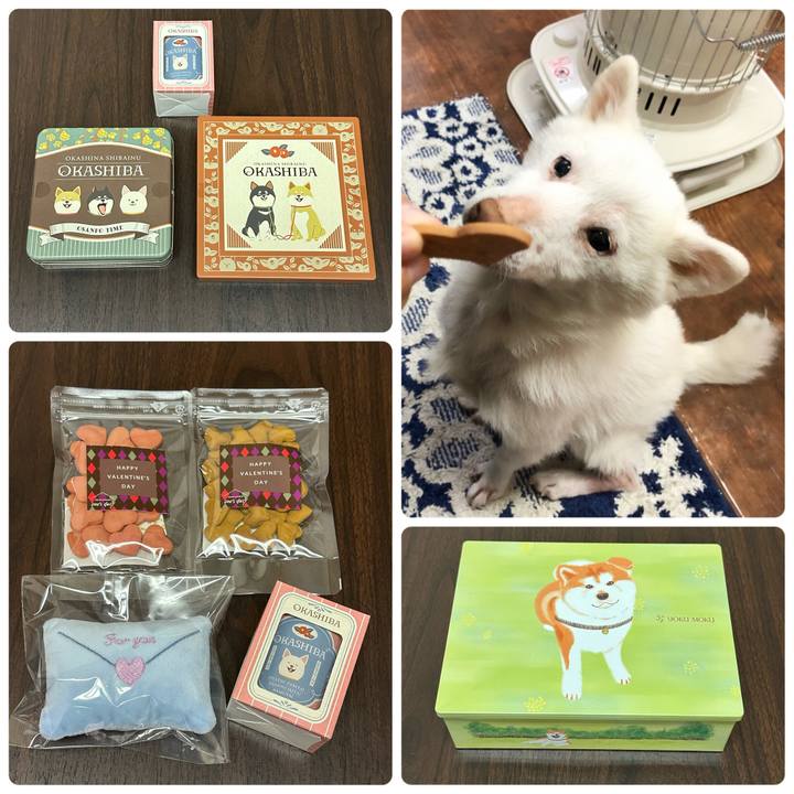 Ac365ca5 e35c 462d a9d9 10790c2b5d05 1739537946606