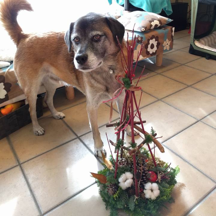 Ac3660f2 250e 4fc5 9436 b3b5ac00c1e5 1701218347579