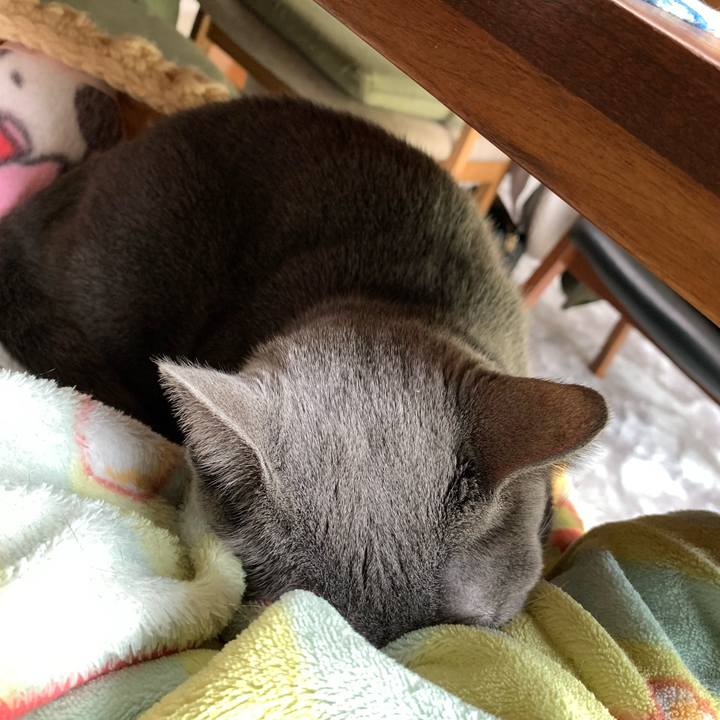 Ac3666ba 2823 45c5 938e e76abef6fe5c 1645921056735