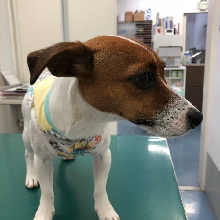 Ac367be2 7b16 498d a865 2c39d826b758 1531029392590