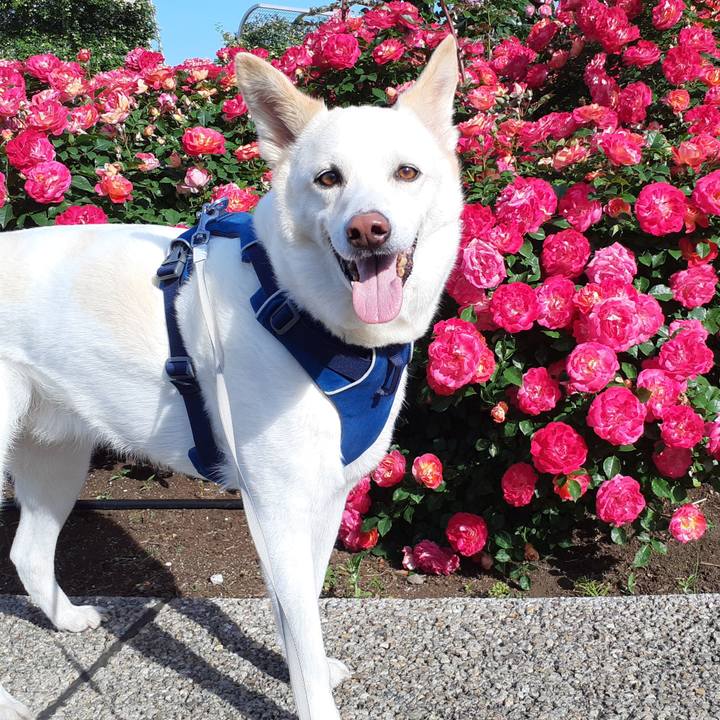 Ac3682c5 5e69 4332 a553 76202675b387 1683257619874