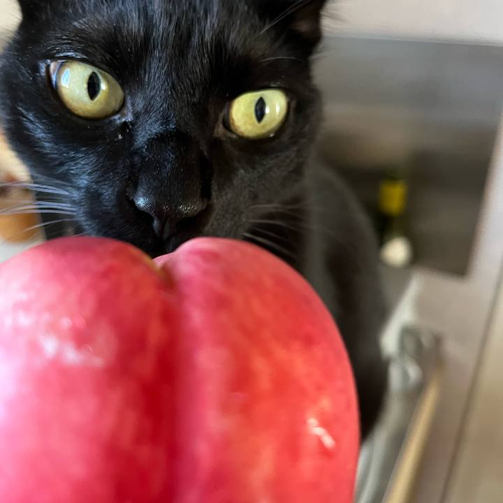 Ac36af47 ac6d 49e0 9885 28e93e29502a 1689030855268