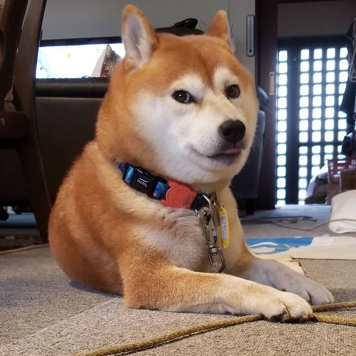 Ac36b8c4 fa83 4b5d be57 f0ad30ac3833 1539558296235