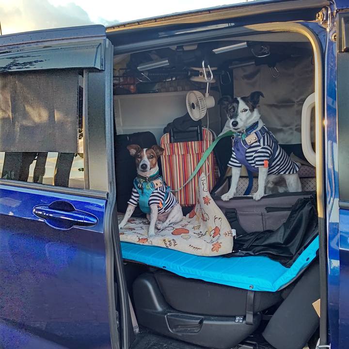 Ac370e9a ecb4 46cd 92e5 ff0cce9b797b 1691615796073